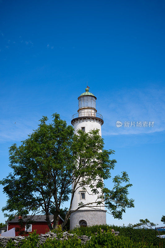 Fårö Fyr，法罗灯塔在树后，湛蓝的天空